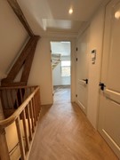 IMG_9011 2 Medium.jpeg